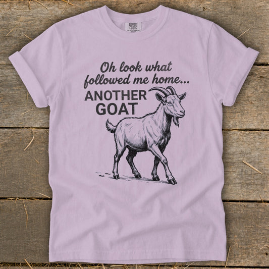 Followed Me Home Goat Signature Tee