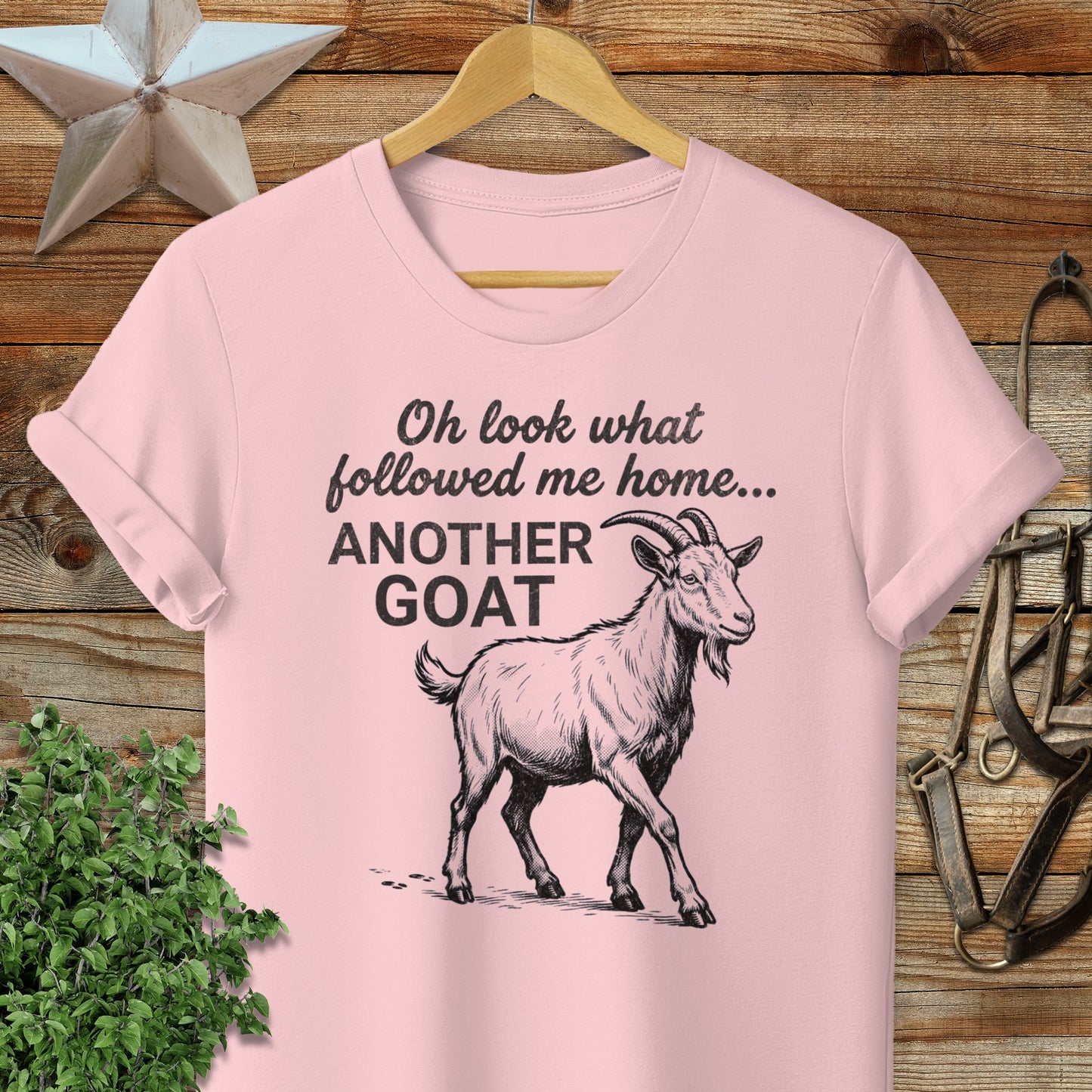 Followed Me Home Goat Softstyle Tee