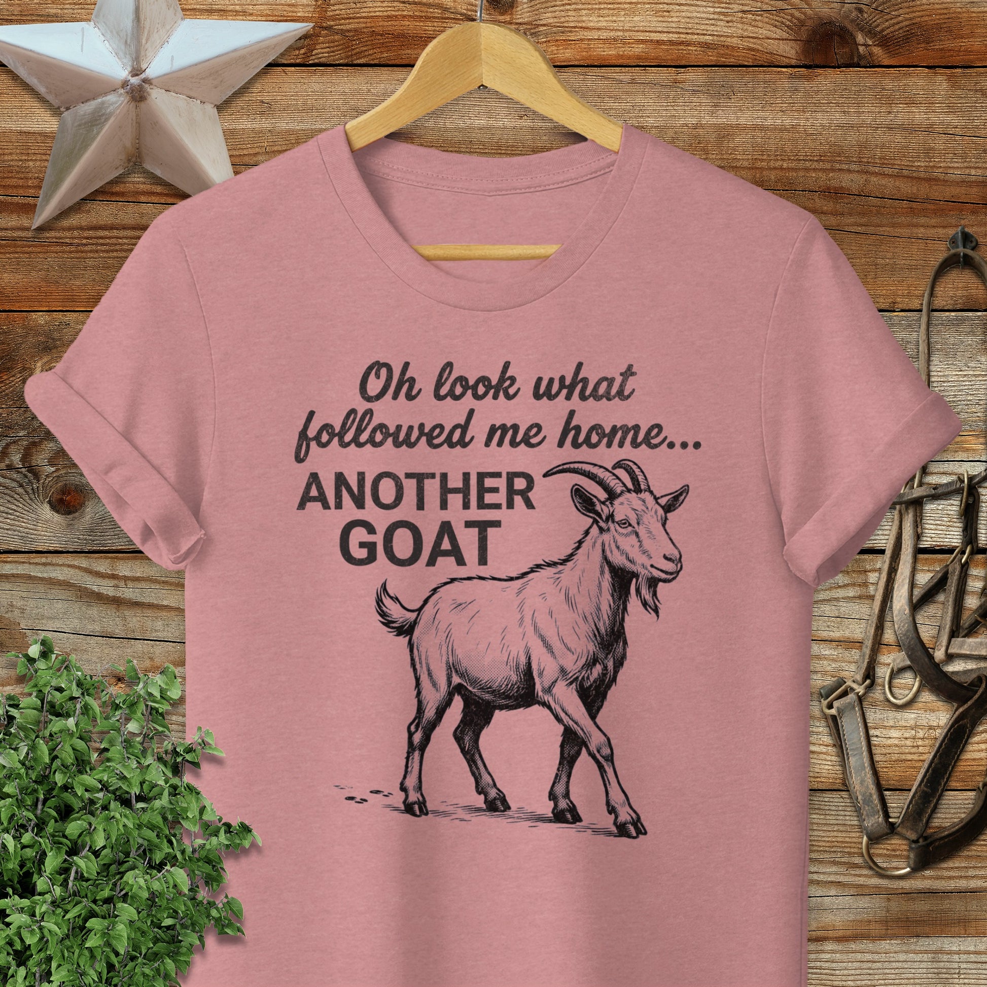 Followed Me Home Goat Softstyle Tee