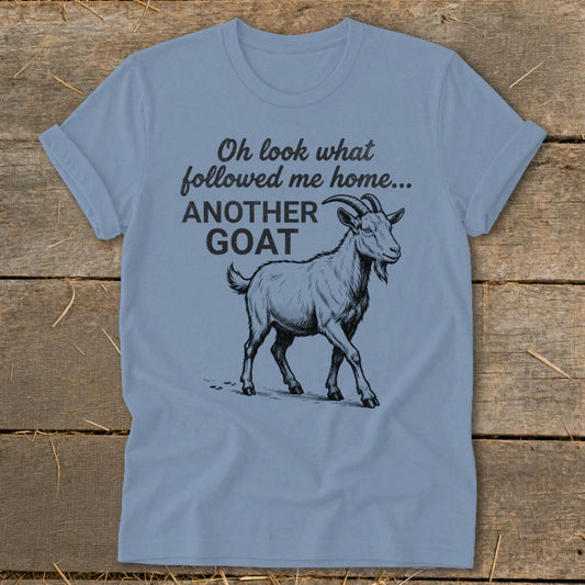 Followed Me Home Goat Softstyle Tee - Steel Blue