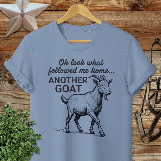 Followed Me Home Goat Softstyle Tee