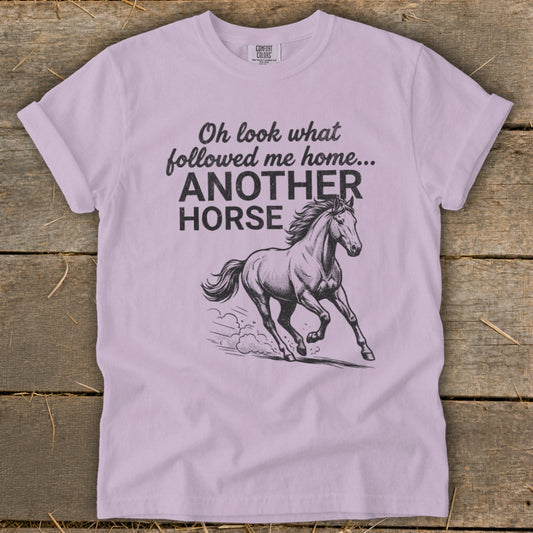 Followed Me Home Horse Signature Tee