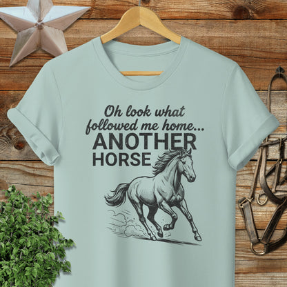 Followed Me Home Horse Softstyle Tee
