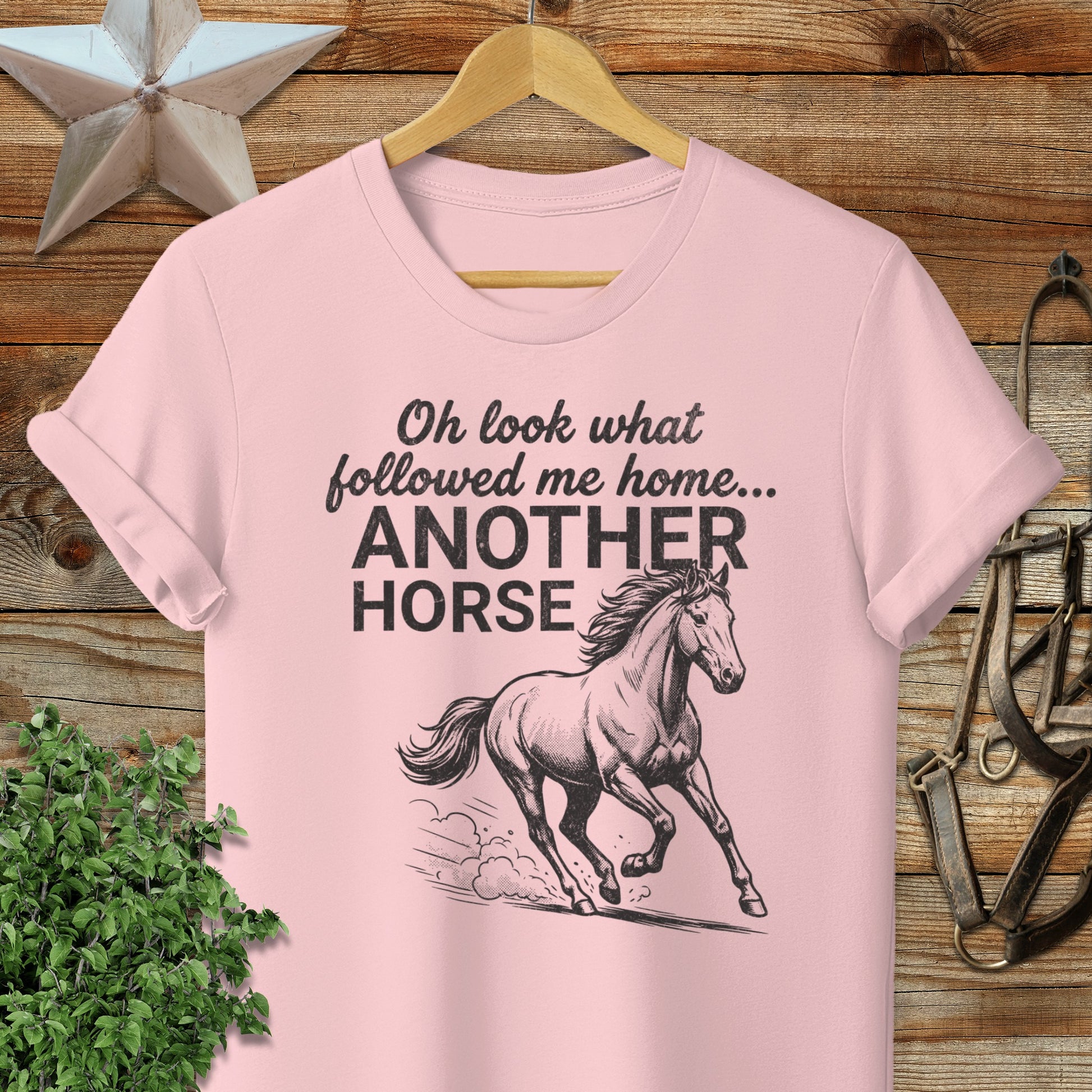Followed Me Home Horse Softstyle Tee