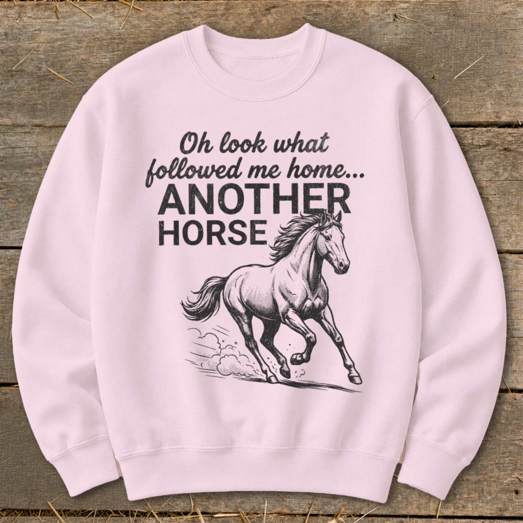 Followed Me Home Horse Sweatshirt