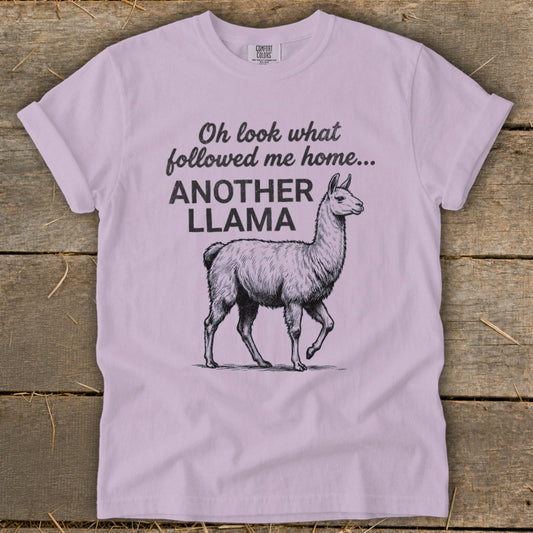 Followed Me Home Llama Signature Tee