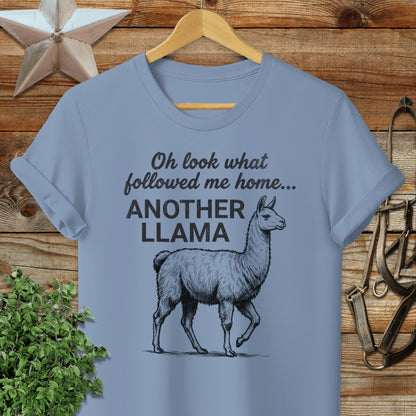 Followed Me Home Llama Softstyle Tee