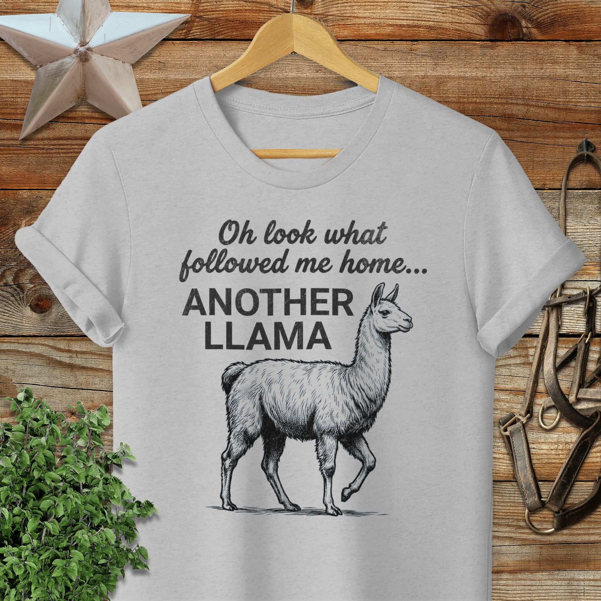 Followed Me Home Llama Softstyle Tee