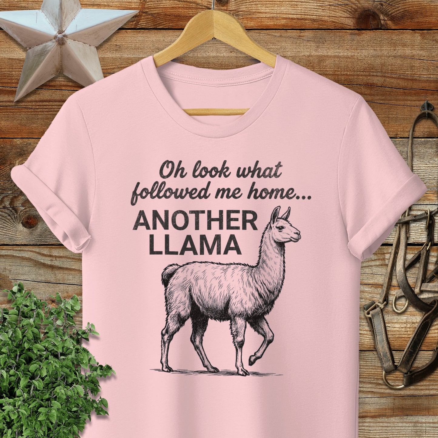 Followed Me Home Llama Softstyle Tee