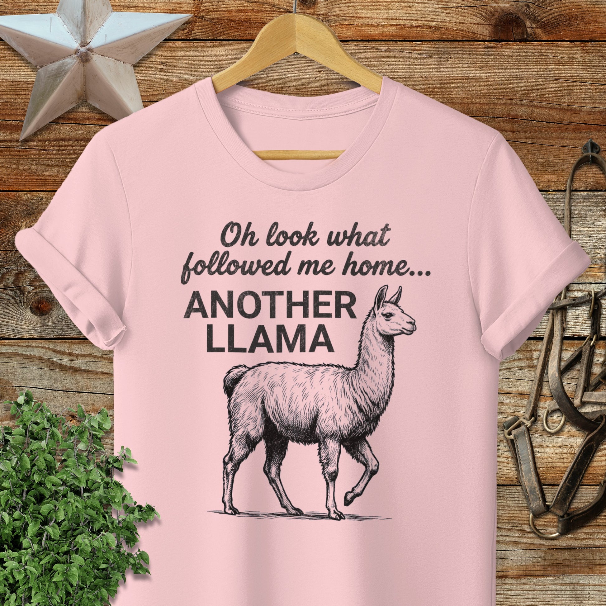 Followed Me Home Llama Softstyle Tee