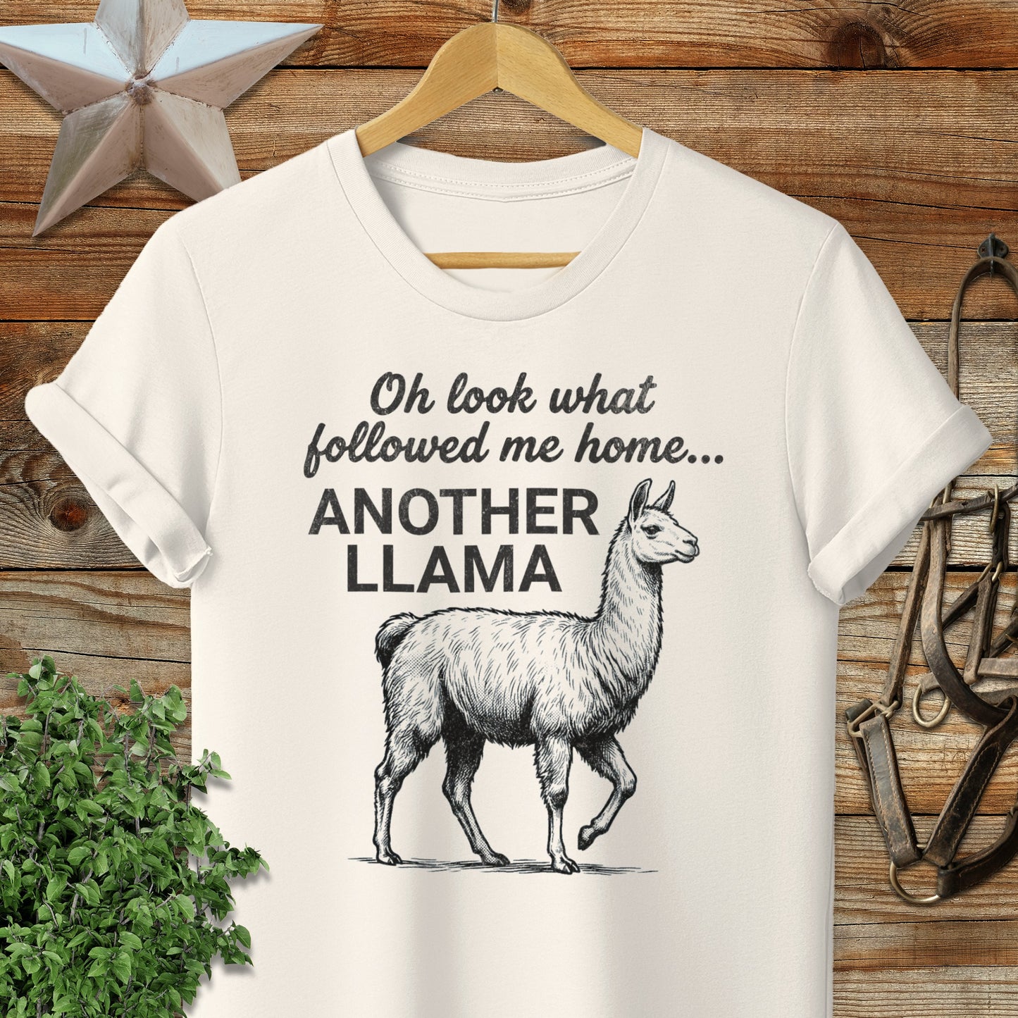 Followed Me Home Llama Softstyle Tee