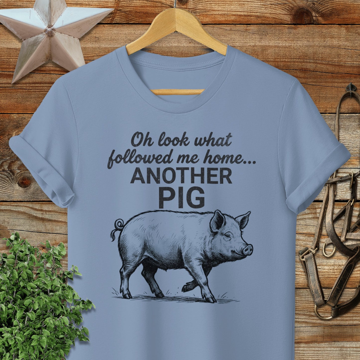 Followed Me Home Pig Softstyle Tee