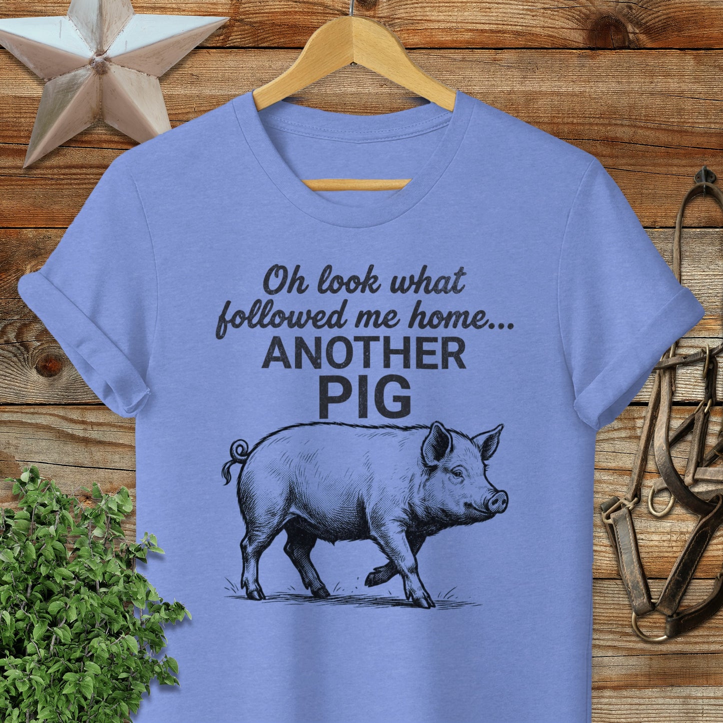Followed Me Home Pig Softstyle Tee