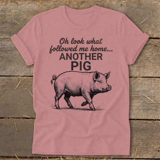 Followed Me Home Pig Softstyle Tee - Heather Mauve