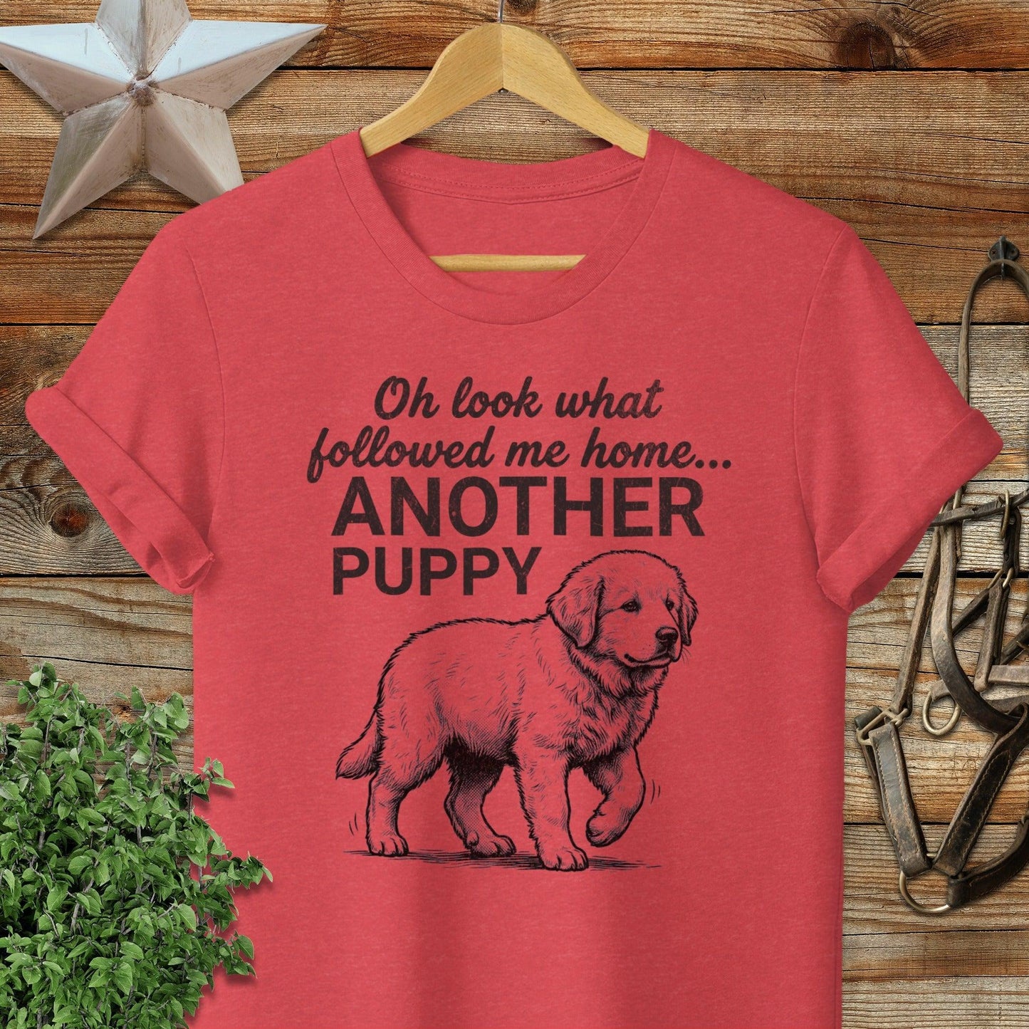 Followed Me Home Puppy Softstyle Tee