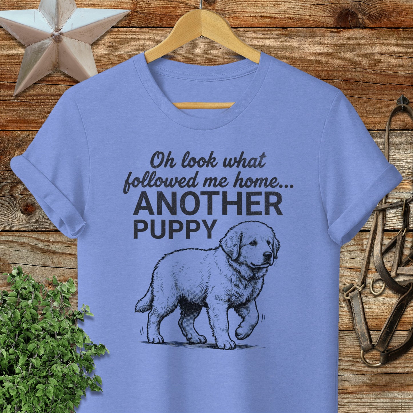 Followed Me Home Puppy Softstyle Tee