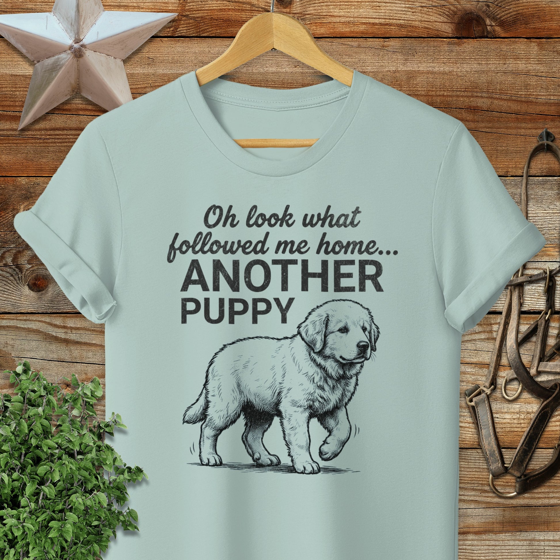 Followed Me Home Puppy Softstyle Tee