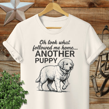 Followed Me Home Puppy Softstyle Tee
