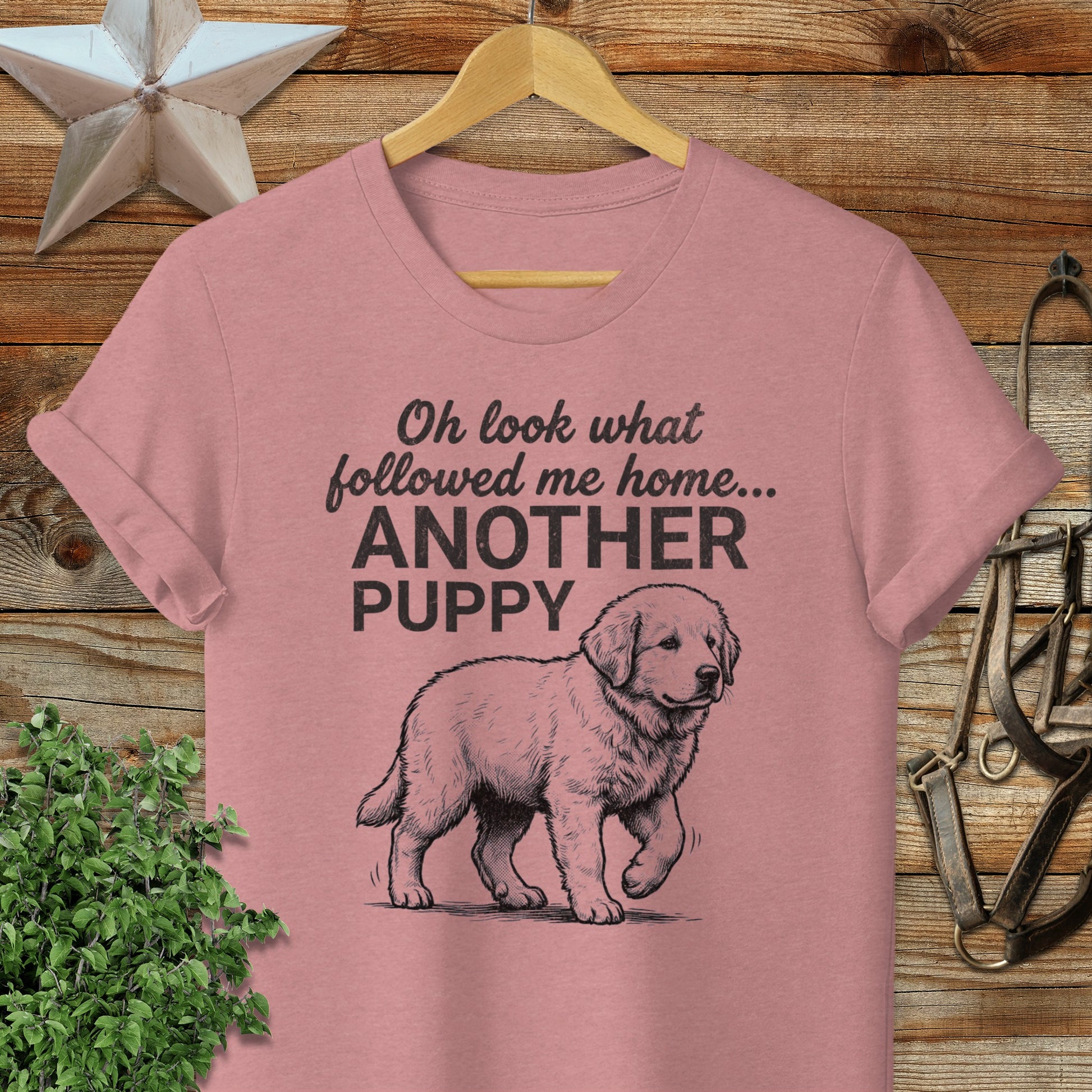 Followed Me Home Puppy Softstyle Tee