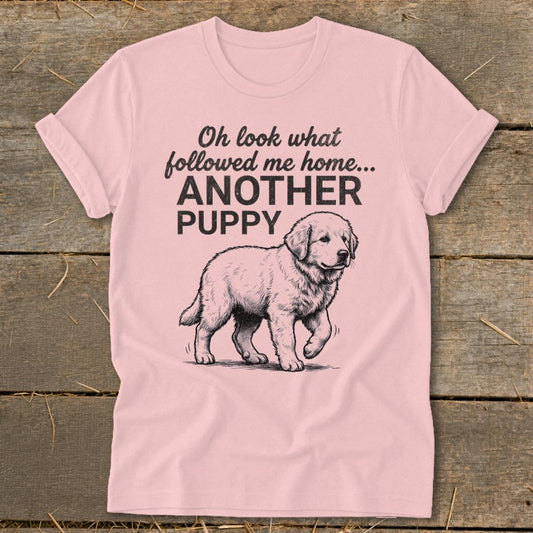 Followed Me Home Puppy Softstyle Tee - Pink