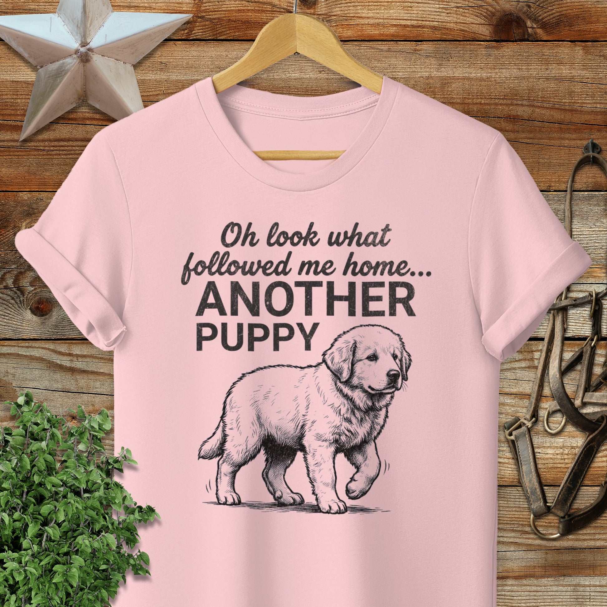 Followed Me Home Puppy Softstyle Tee