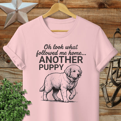 Followed Me Home Puppy Softstyle Tee