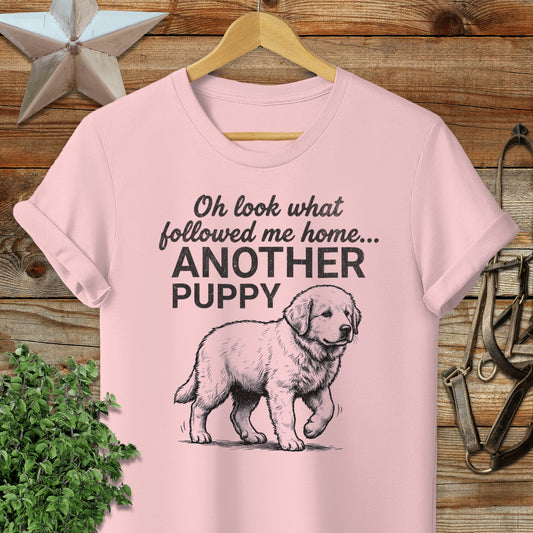 Followed Me Home Puppy Softstyle Tee