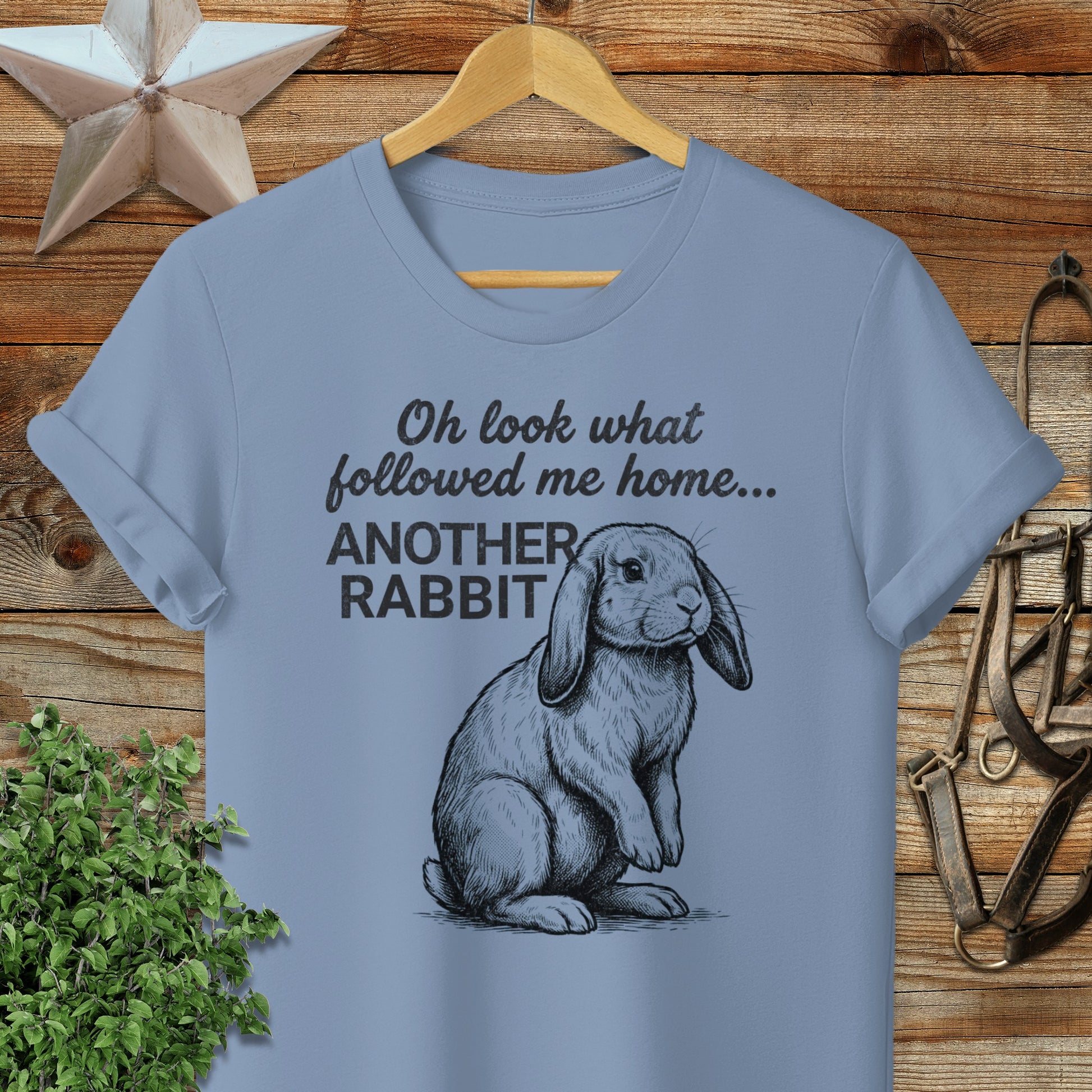 Followed Me Home Rabbit Softstyle Tee