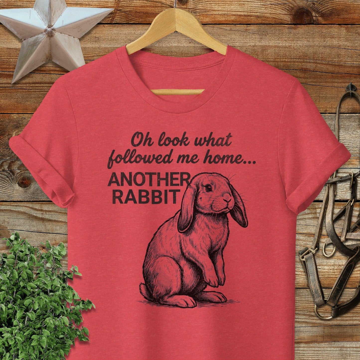 Followed Me Home Rabbit Softstyle Tee