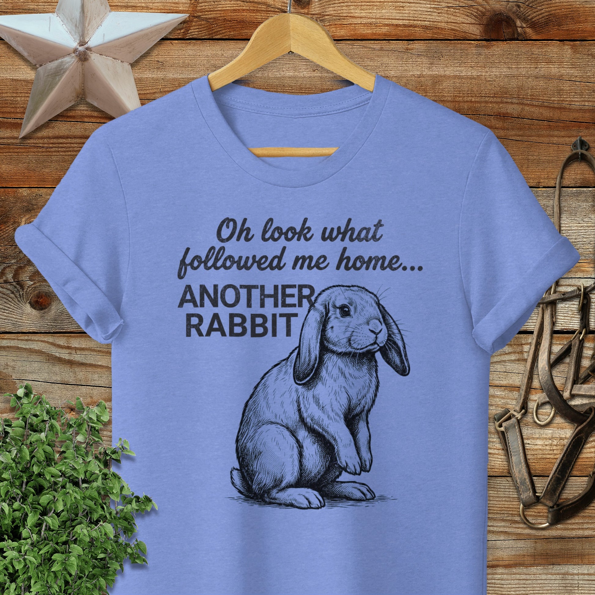 Followed Me Home Rabbit Softstyle Tee