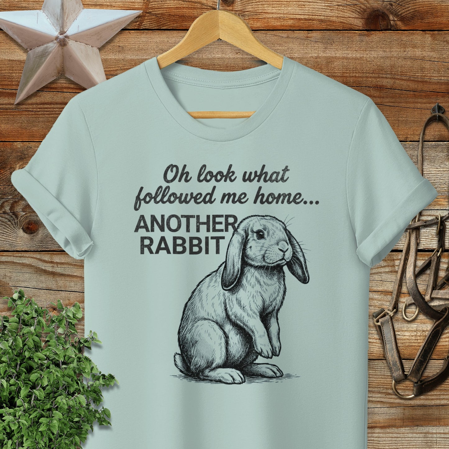 Followed Me Home Rabbit Softstyle Tee