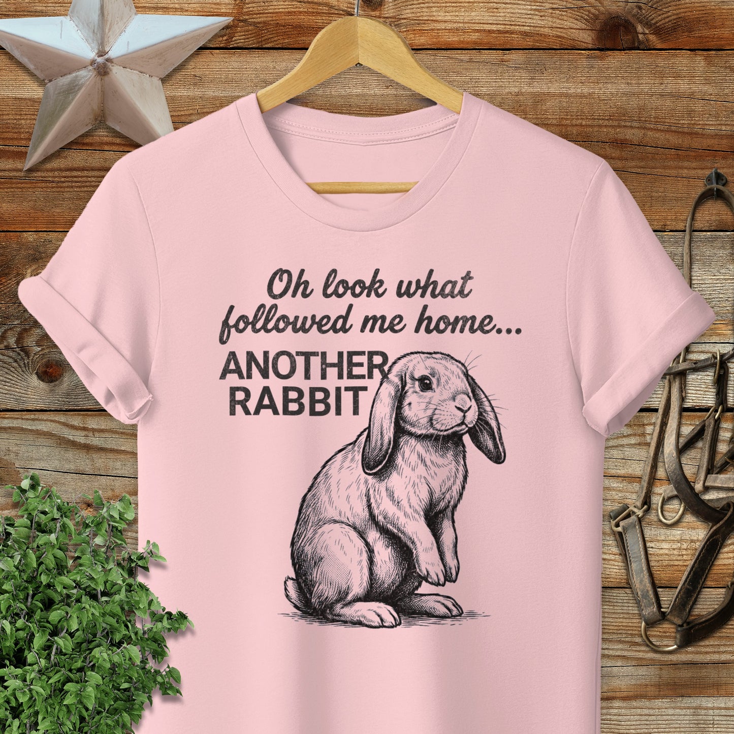Followed Me Home Rabbit Softstyle Tee