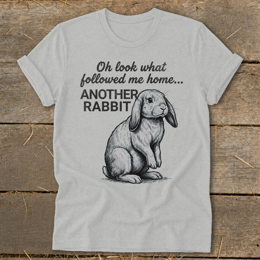 Followed Me Home Rabbit Softstyle Tee - Athletic Heather