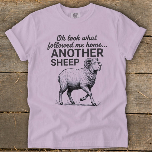 Followed Me Home Sheep Signature Tee