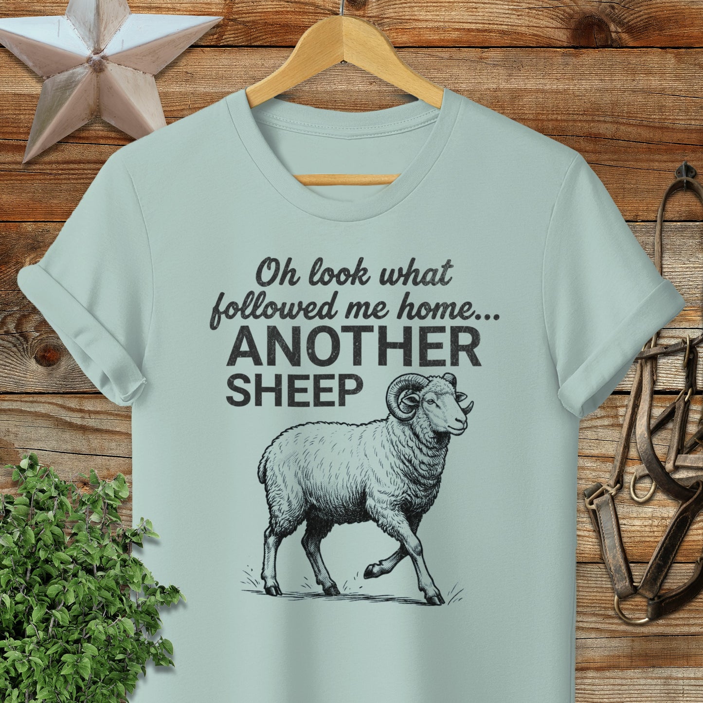 Followed Me Home Sheep Softstyle Tee