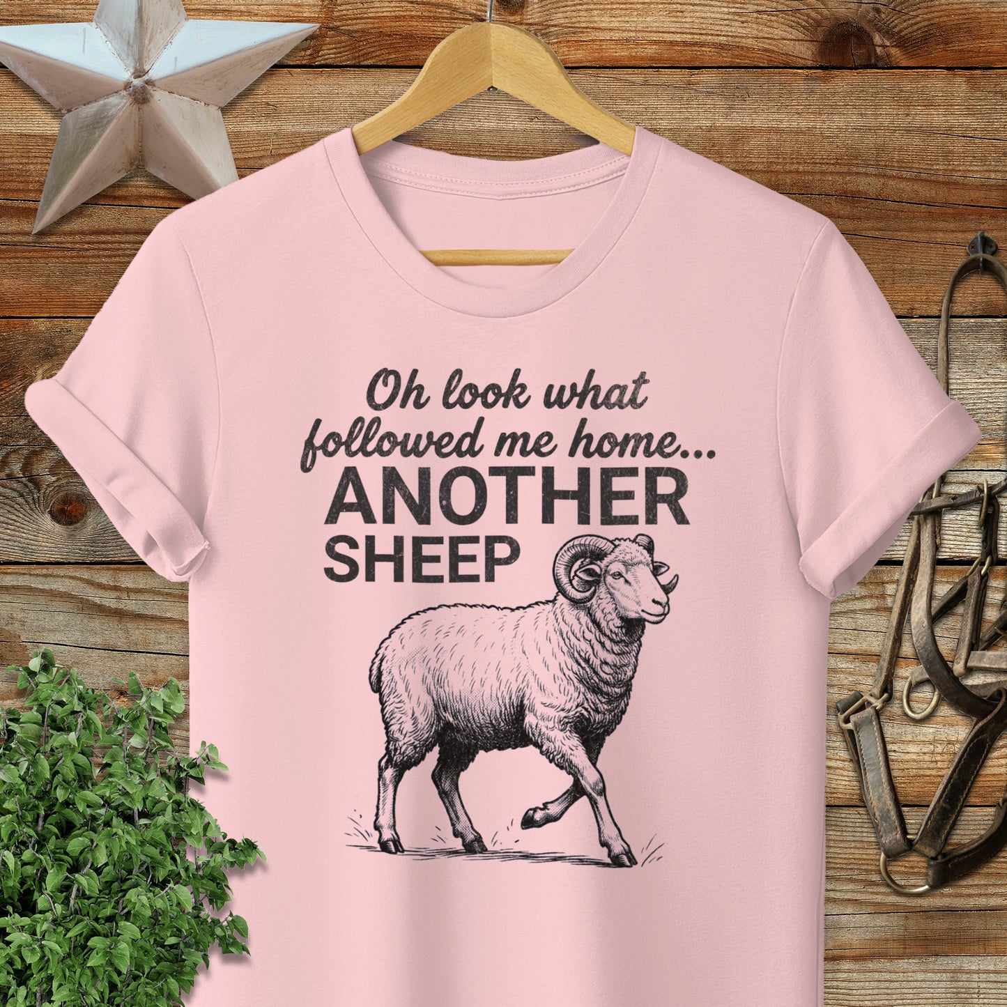 Followed Me Home Sheep Softstyle Tee
