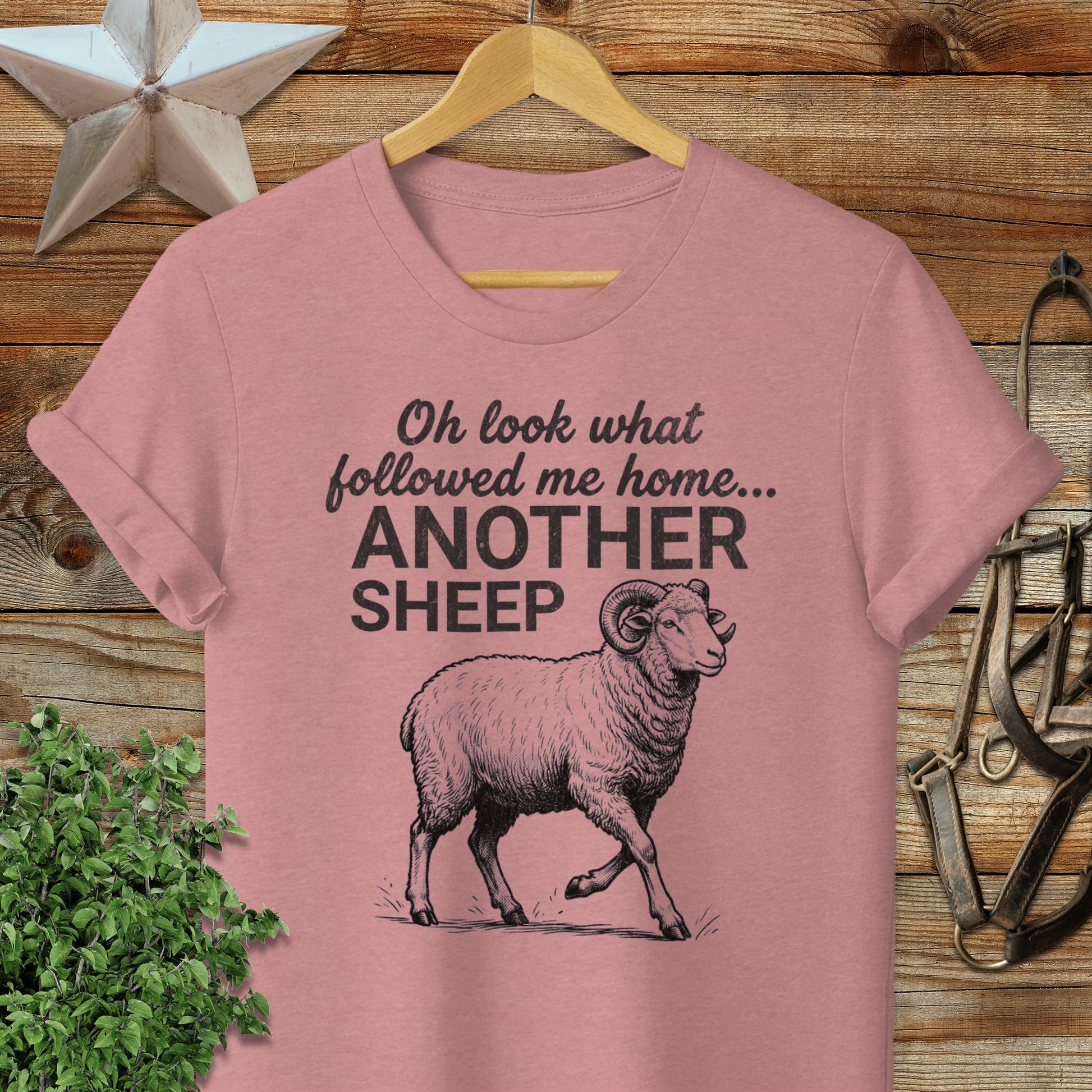 Followed Me Home Sheep Softstyle Tee