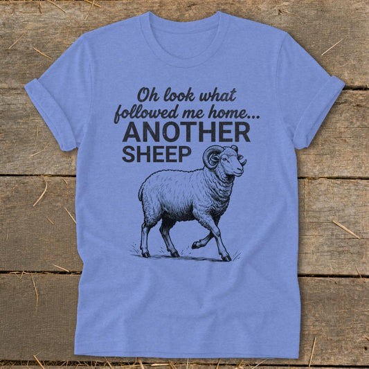 Followed Me Home Sheep Softstyle Tee - Heather Columbia Blue