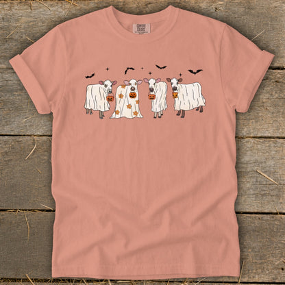Four cows in ghost costumes with pumpkins for Halloween, on a peach t-shirt.