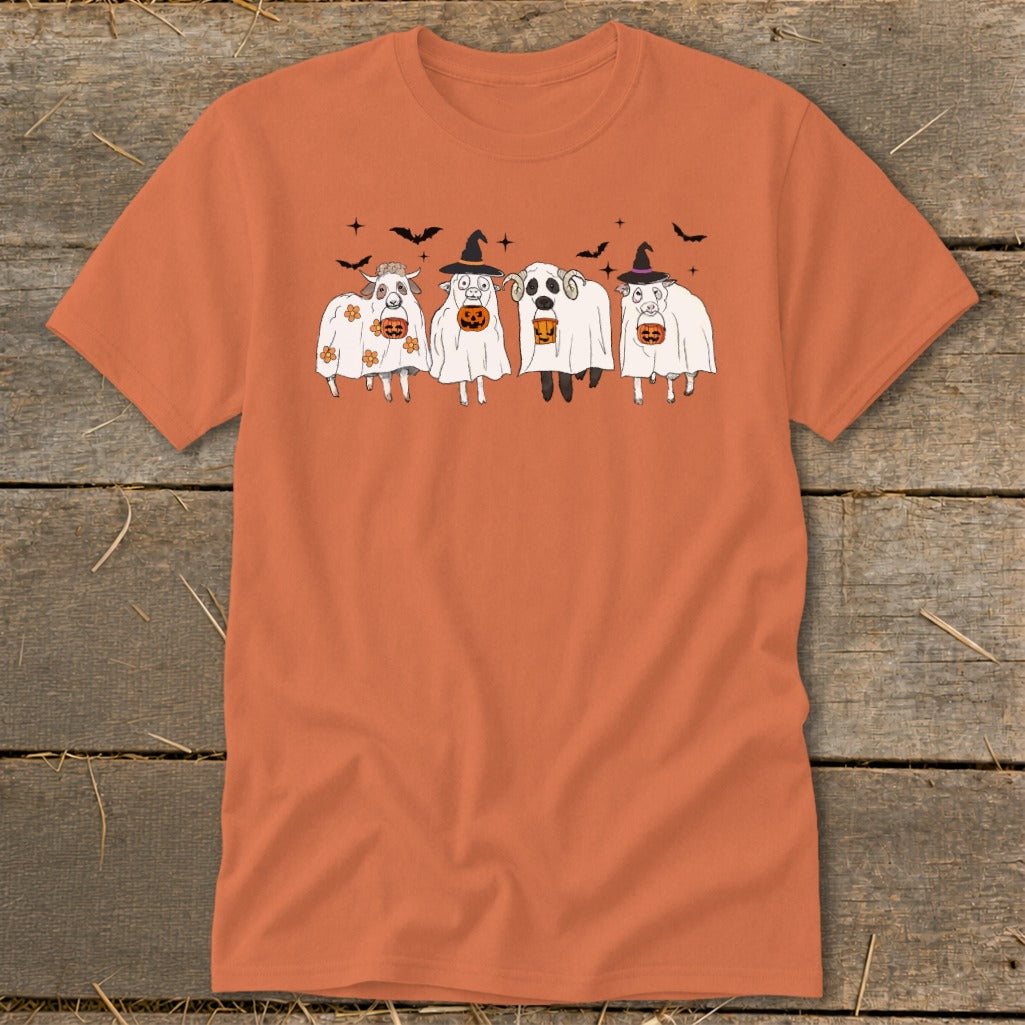 Sheep dressed as ghosts holding pumpkins and wearing witch hats.