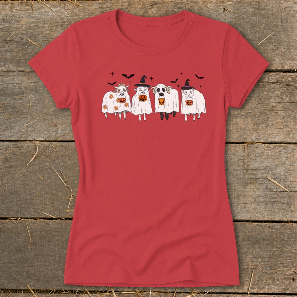 Four sheep in ghost costumes and witch hats holding pumpkins, on a red shirt.