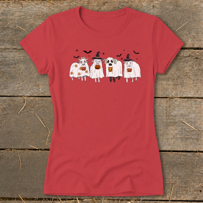 Four sheep in ghost costumes and witch hats holding pumpkins, on a red shirt.