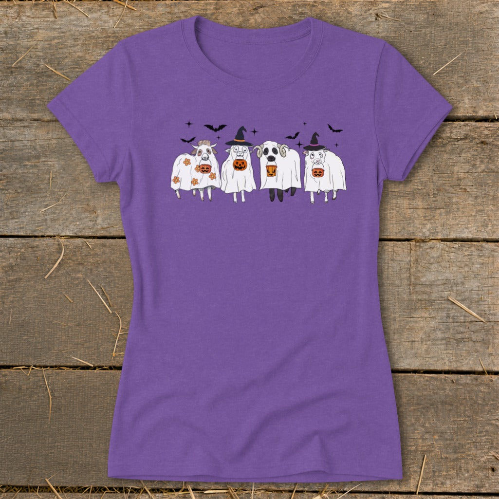 Four sheep in ghost costumes holding jack-o'-lanterns with bats overhead.