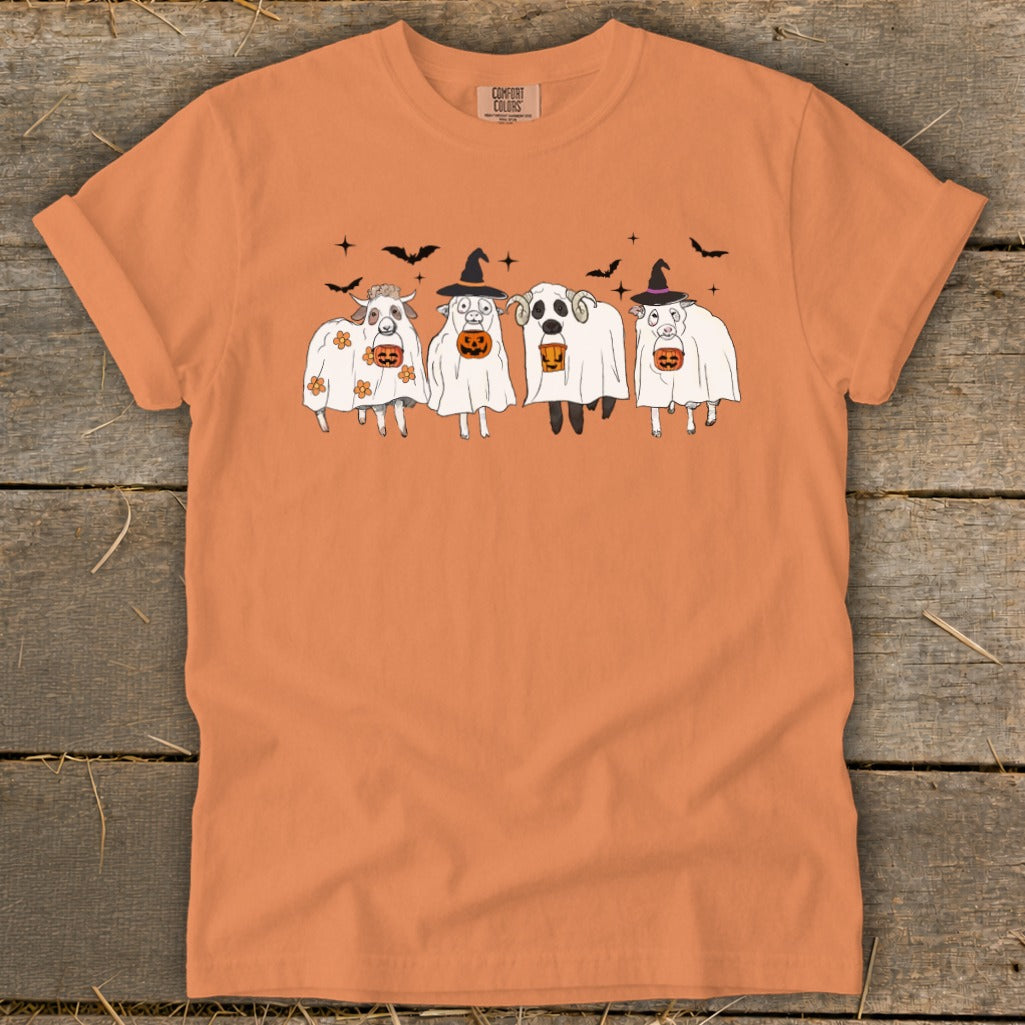 Four sheep dressed as ghosts with pumpkins and bats on an orange t-shirt.