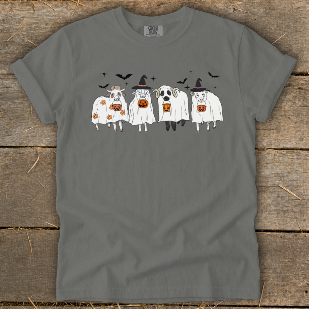 Sheep dressed as ghosts holding pumpkins with bats above.