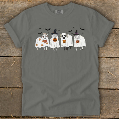 Sheep dressed as ghosts holding pumpkins with bats above.