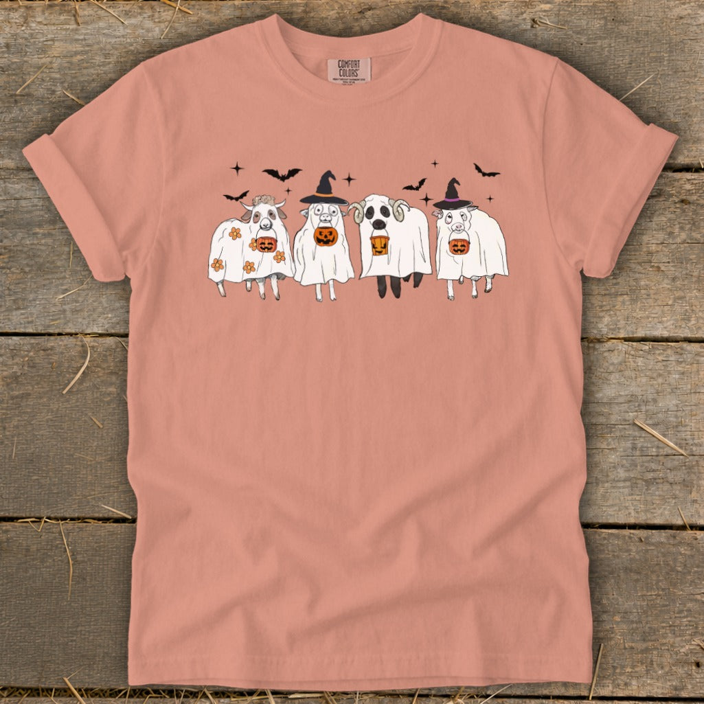 Four sheep dressed as ghosts hold pumpkins and wear witch hats, with bats above.