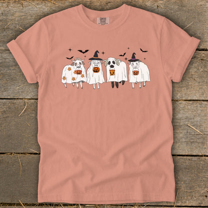 Four sheep dressed as ghosts hold pumpkins and wear witch hats, with bats above.