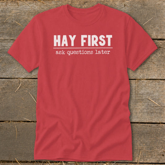 Hay First Ask Questions Later Classic Tee