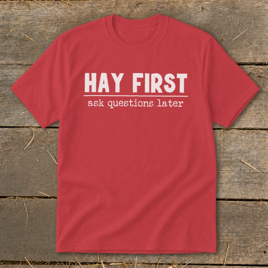 Hay First Ask Questions Later Youth Tee
